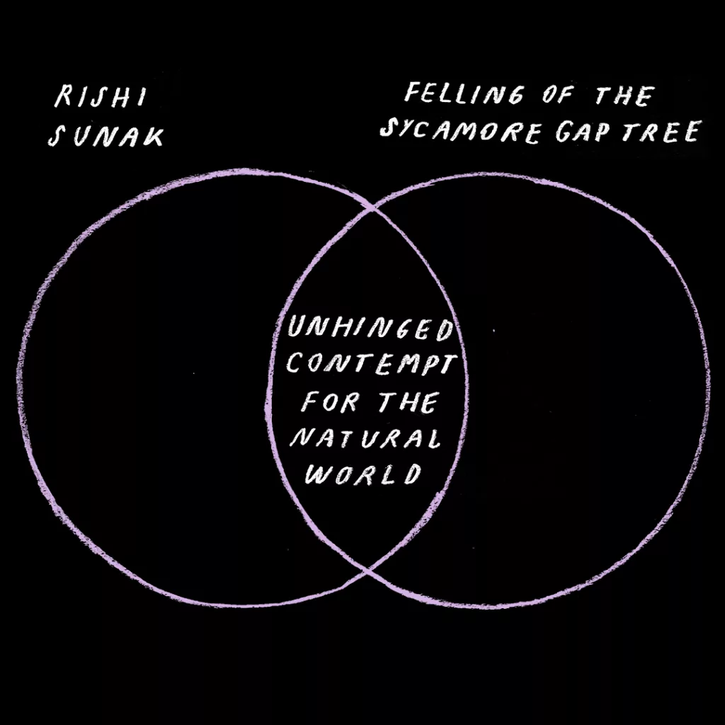 Two overlapping circles creating a venn diagram with text annotations linking rishi sunak and the felling of the sycamore gap tree to a shared central theme of 'unhinged contempt for the natural world'.